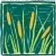 Barnstable Land Trust