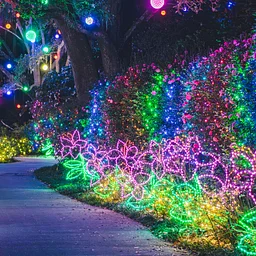 Magic Christmas in Lights Workshop