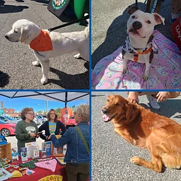 Kamm’s Corners Farmers Market- Pet Adoption Day