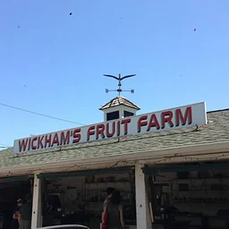 Wickham’s Fruit Farm Tour