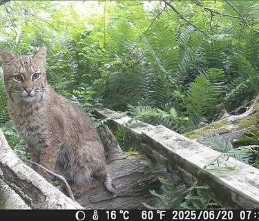 Wildlife Tracking Club Outing