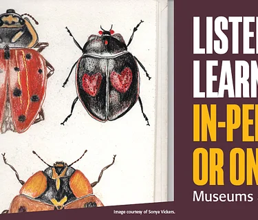 Learning about Nature through Drawing