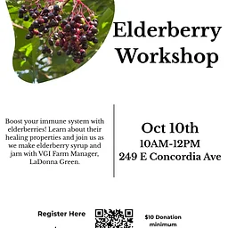 Elderberry Workshop
