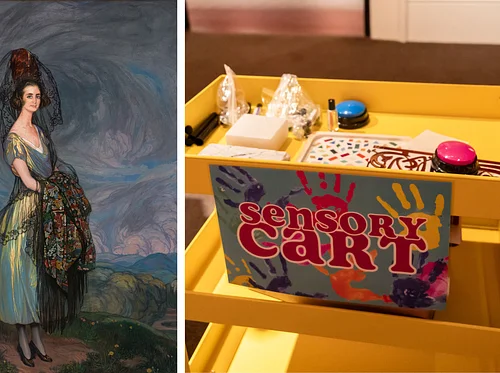 SENSORY CART