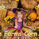 Swore Farms Corn Maze