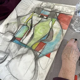 Abstract Approaches to Observational Drawing