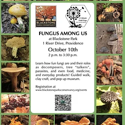 Saturday, Oct 10, 2026 @ 2:00 pm Fungus Among Us Fall Walk