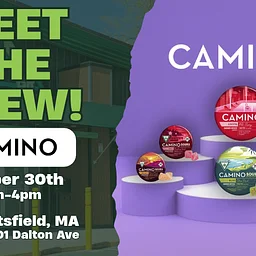 Pittsfield | Camino In-Store Pop-Up