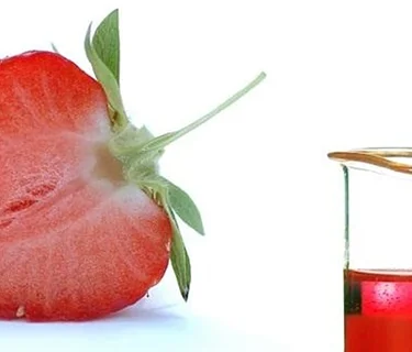 STEAM Lab: Discover DNA