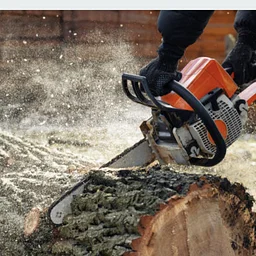 Chainsaw - Level 1