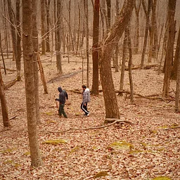 Midweek Nature Stroll