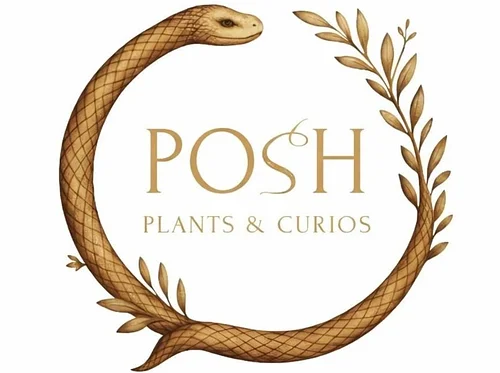 Pop-Up: Posh Plants & Curios
