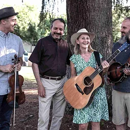 Live Music With Silver City