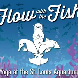 Flow with the Fish