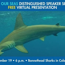 Save Our Seas Distinguished Speaker Series FREE Virtual Presentation