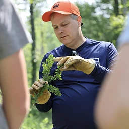 Common Invasive Plant ID, Reporting and Management