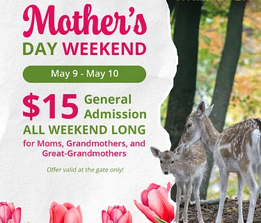 Mother’s Day Weekend