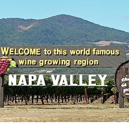 Tour the Napa Valley in 90 Minutes