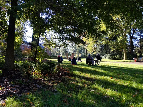 Sound Bath Meditation: Spring Section