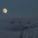 July Full Moon Member Walk