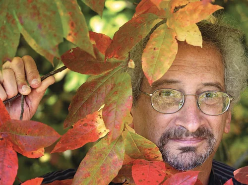 App State presents how Trees Work: Forest Ecology and What Trees Do For Us