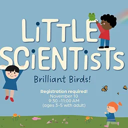 Little Scientists: Brilliant Birds