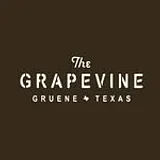 Grapevine in Gruene