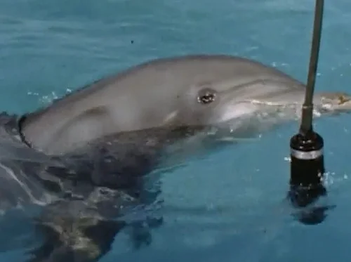 John Lilly and the Earth Coincidence Control Office at Speed Cinema