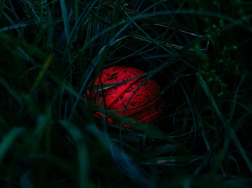 2nd Annual Glow-in-the-Dark Egg Hunt at Moonlight Acres