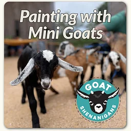 Painting Craft & Brunch with Mini Goats with Goat Shenanigans
