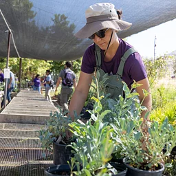 Nursery Volunteer Day