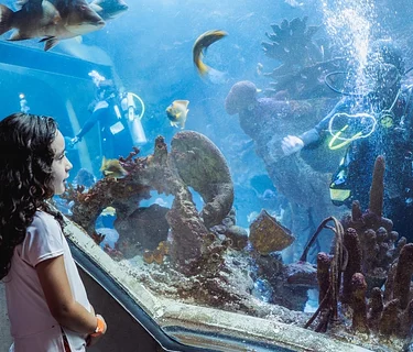 World Ocean Day 2026