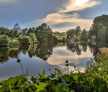 Deep Dive with Aquatic Plants — Explore, Learn, and Take Home Living Plants!