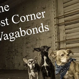 Live Music: The Lost Corner Vagabonds