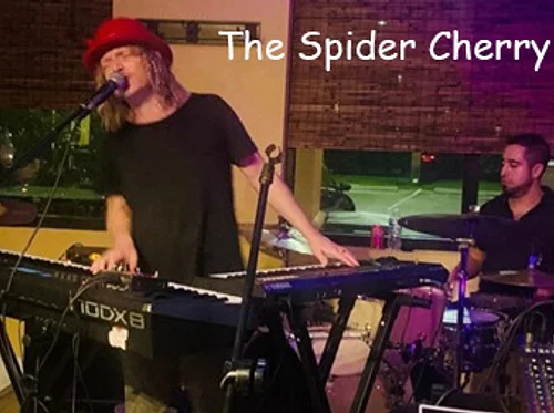 Spider Cherry Duo Live!