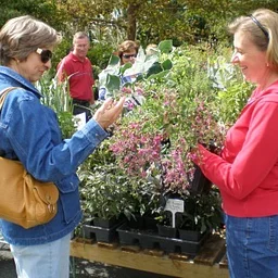 Lewis Ginter Fall Plant Sale