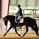 NFDA Dressage Schooling Show