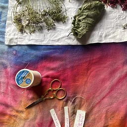 Alison McKim, Deep Earth Dreaming