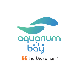 Aquarium Of The Bay