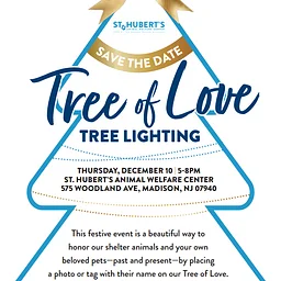 2026 Tree of Love Tree Lighting