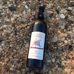 Jason's Vineyard