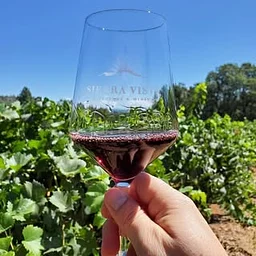 Sierra Vista Winery 🍷