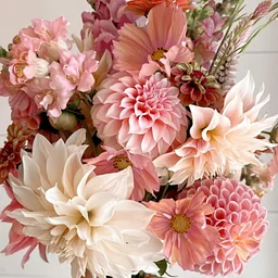 Floral Design – Hello Dahlia!