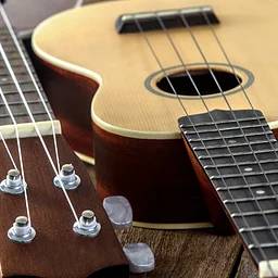 The Uke 101s