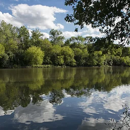 Kayak the Des Plaines