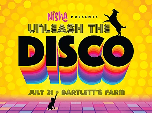 Unleash the Disco