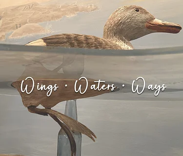 Wings • Waters • Ways : 2026 art show continues (July)