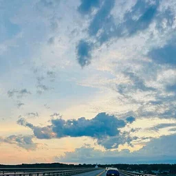 The Color of Light: Annual Summer Show