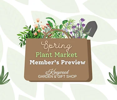 Spring Plant Market – Members’ Preview