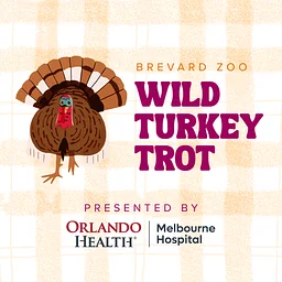 Wild Turkey Trot 3K